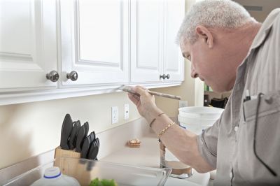 Cost of Kitchen Painting — Cost of Kitchen Painting